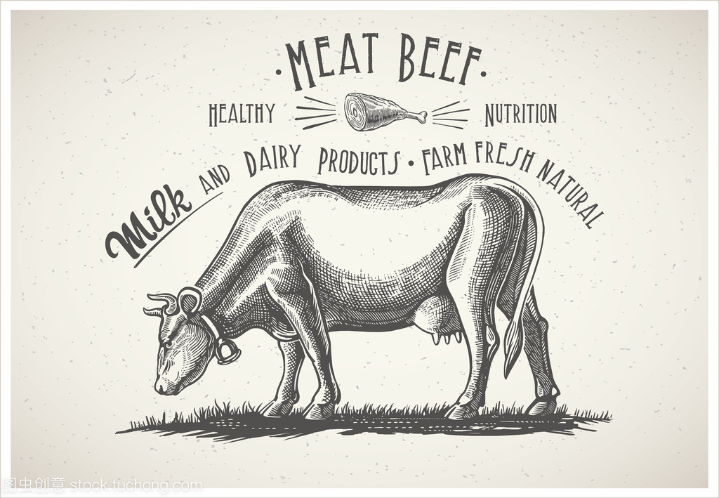 牛奶,肉类产品海报